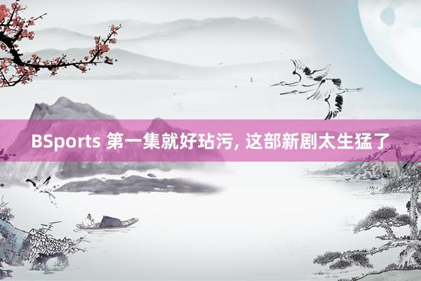 BSports 第一集就好玷污， 这部新剧太生猛了