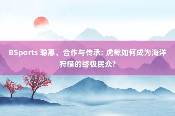 BSports 聪惠、合作与传承: 虎鲸如何成为海洋狩猎的终极民众?