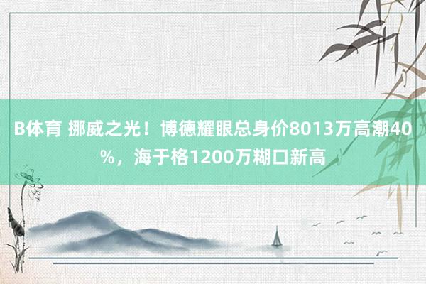 B体育 挪威之光！博德耀眼总身价8013万高潮40%，海于格1200万糊口新高