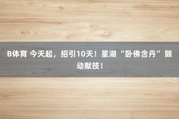 B体育 今天起，招引10天！星湖 “卧佛含丹” 颤动献技！