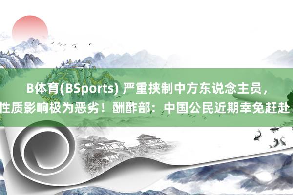 B体育(BSports) 严重挟制中方东说念主员，性质影响极为恶劣！酬酢部：中国公民近期幸免赶赴！