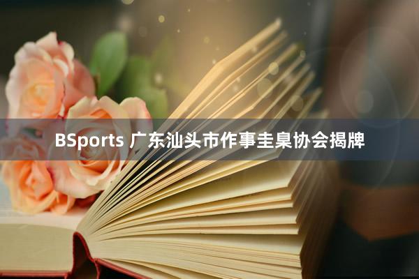 BSports 广东汕头市作事圭臬协会揭牌
