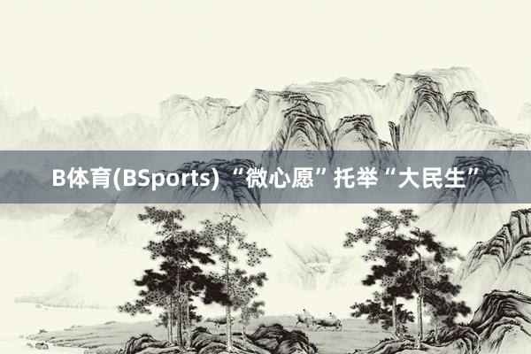 B体育(BSports) “微心愿”托举“大民生”