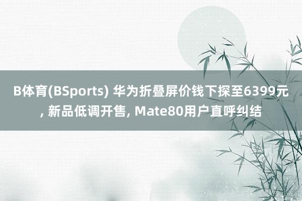 B体育(BSports) 华为折叠屏价钱下探至6399元， 新品低调开售， Mate80用户直呼纠结
