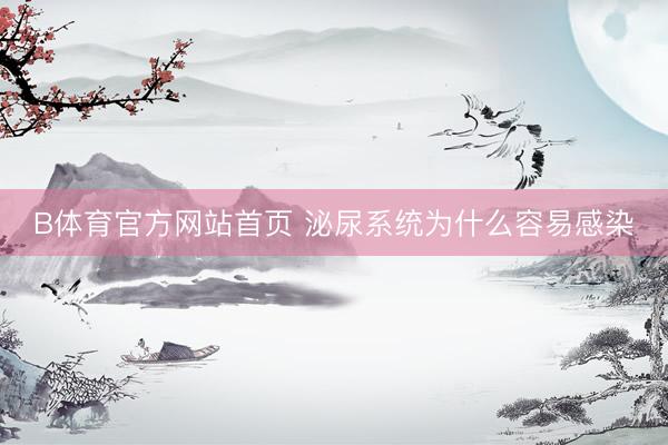 B体育官方网站首页 泌尿系统为什么容易感染