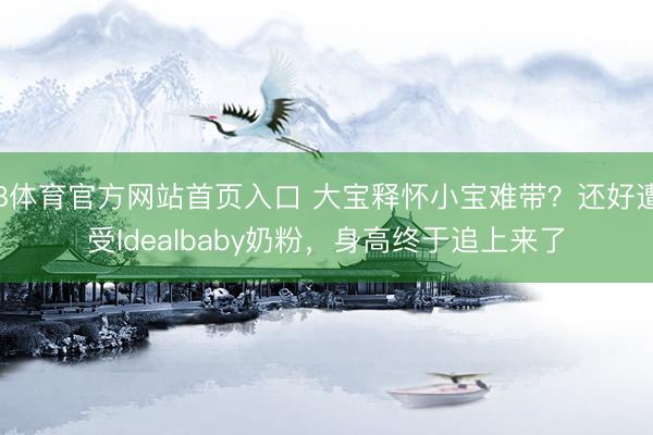 B体育官方网站首页入口 大宝释怀小宝难带？还好遭受Idealbaby奶粉，身高终于追上来了