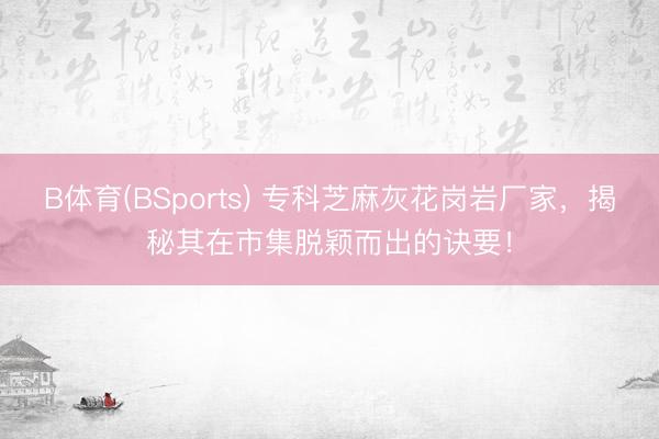 B体育(BSports) 专科芝麻灰花岗岩厂家，揭秘其在市集脱颖而出的诀要！
