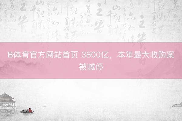 B体育官方网站首页 3800亿,本年最大收购案被喊停