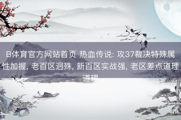 B体育官方网站首页 热血传说: 攻37裁决特殊属性加握, 老百区迥殊, 新百区实战强, 老区差点道理